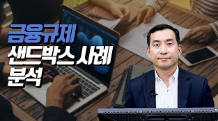 금융규제 샌드박스 사례 분석