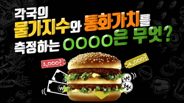 빅맥지수로 알아보는 구매력 평가설